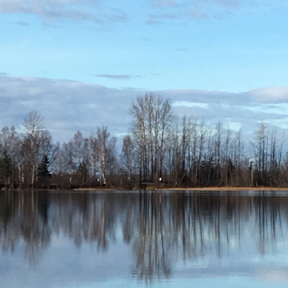 Meet your Posher, Annette - Picture 5 of 13